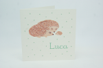 geboortekaartje luca lichtgroen